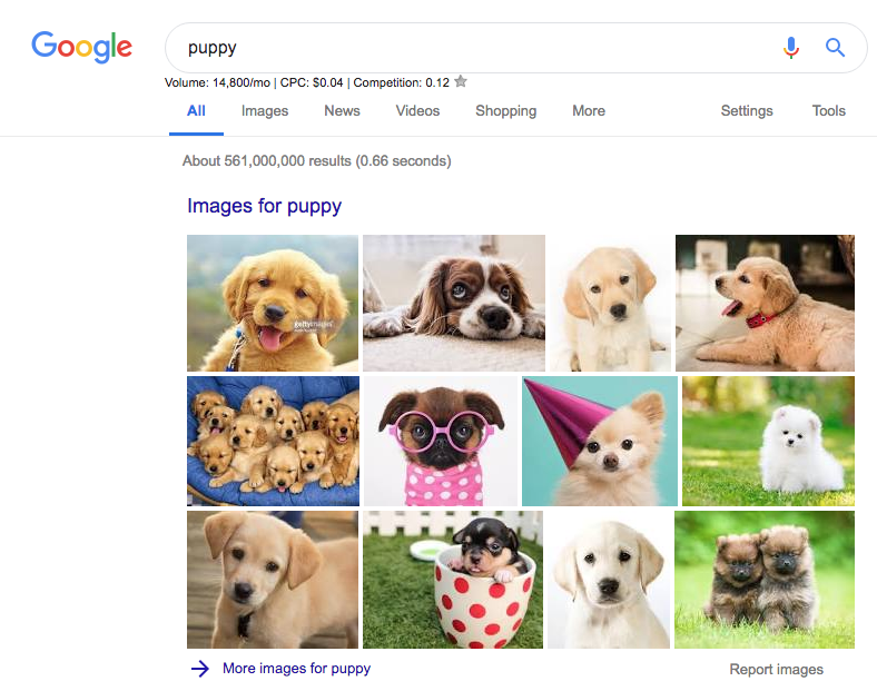 The evolution of Googles SERPs now included images 