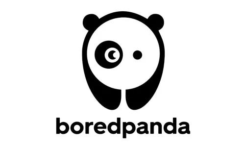 Bored Panda infographic