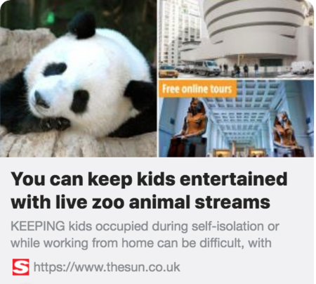 screenshot of the sun newspaper article title 'you can keep kids entertained with live zoo animal streams'