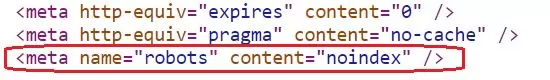 Piece of website code showing a no index tag
