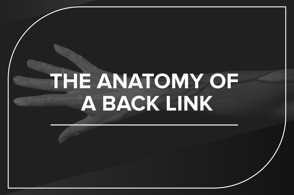 the anatomy of a back link