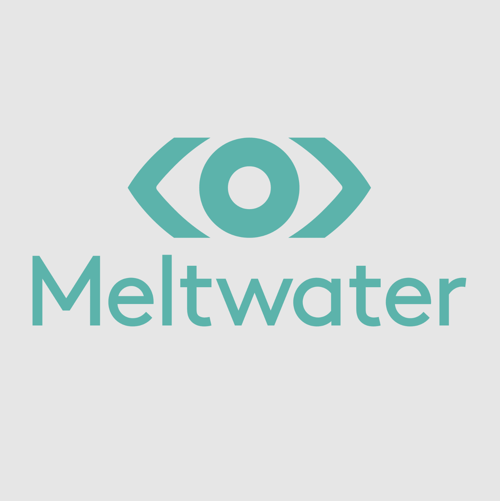 meltwater logo