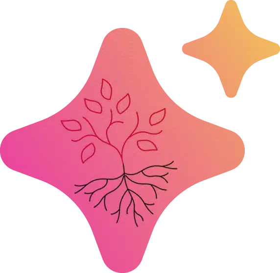 Jbh seo star